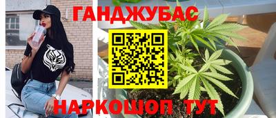 крисы Жуковский