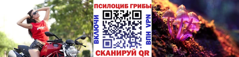 Псилоцибиновые грибы Magic Shrooms  kraken   Новочеркасск 