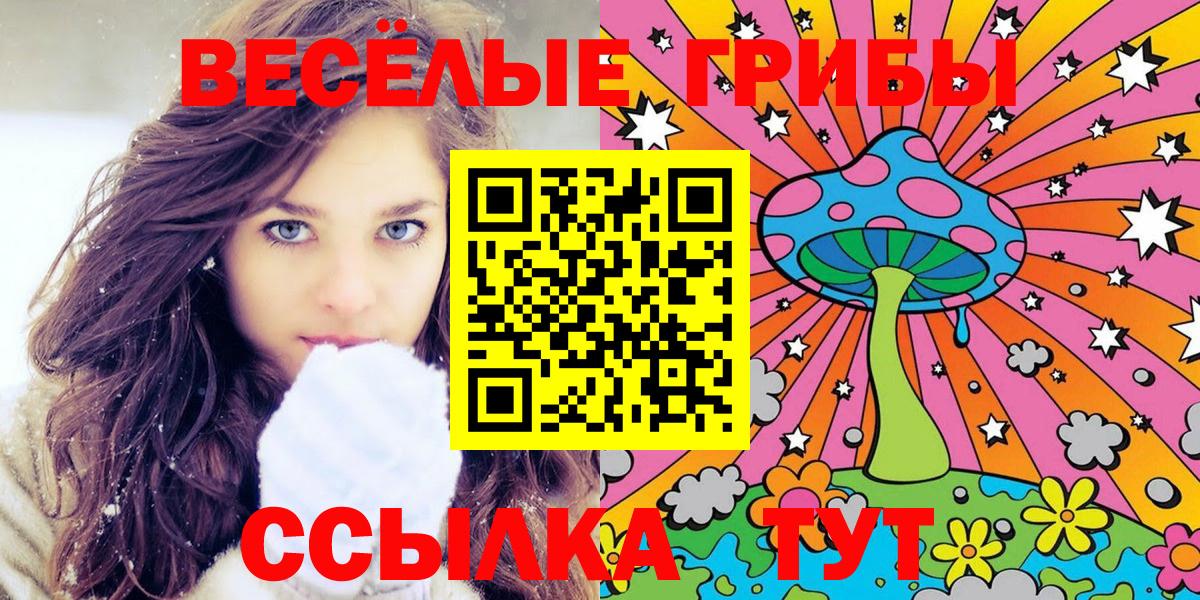 Новочеркасск  Псилоцибиновые грибы Psilocybe  Вход с VPN 